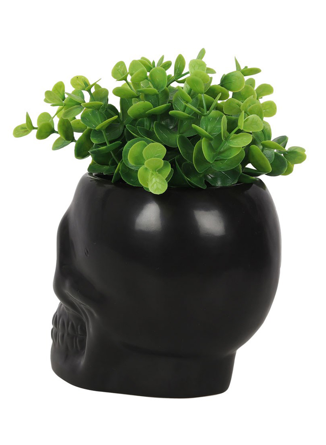 Black Skull Plant Pot